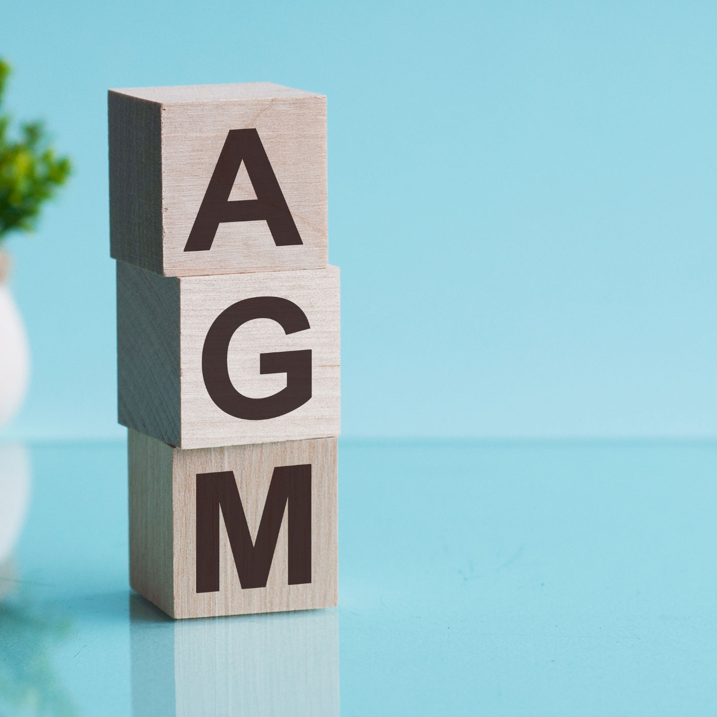 Annual General Meeting 2024