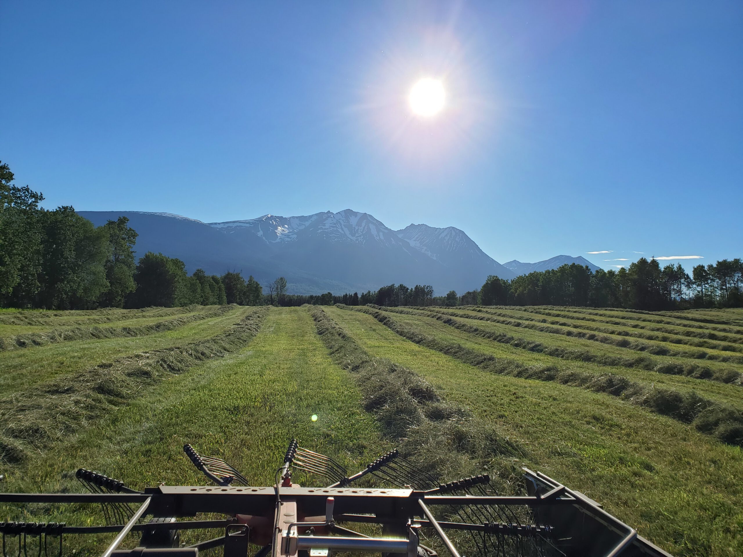Deep roots in agriculture