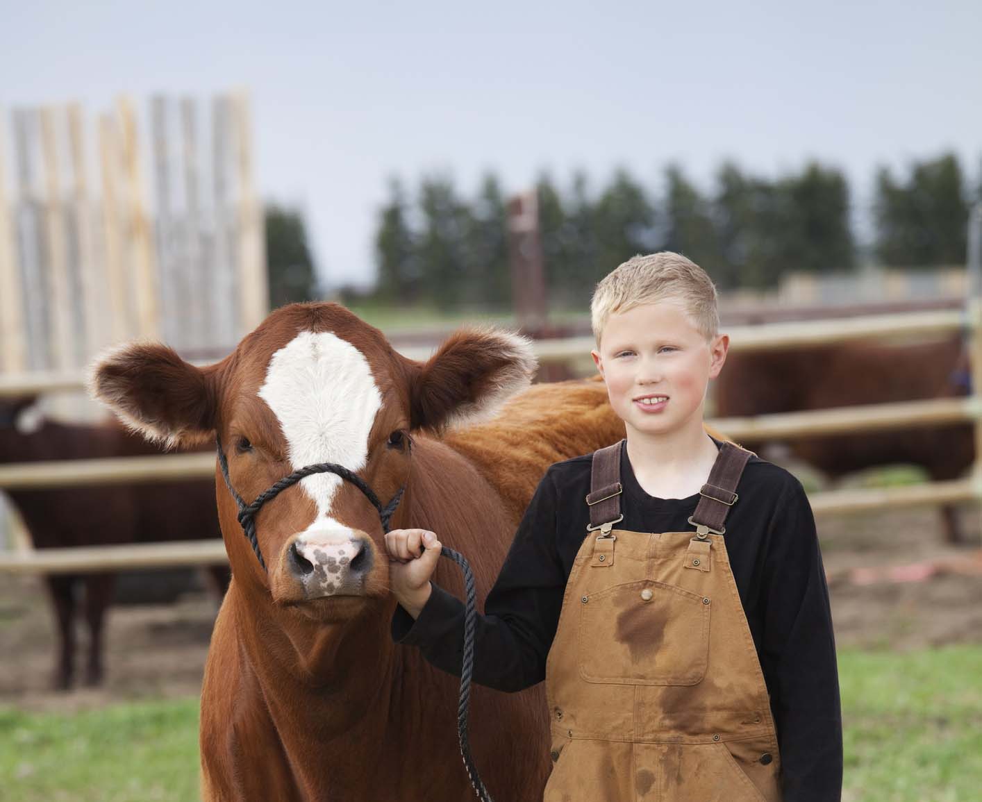 People helping people: assisting those in need through the Salvation Army and 4-H